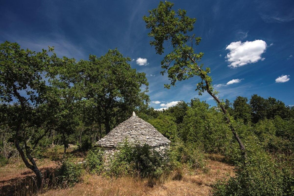Villa Martinetinka Воднян Экстерьер фото