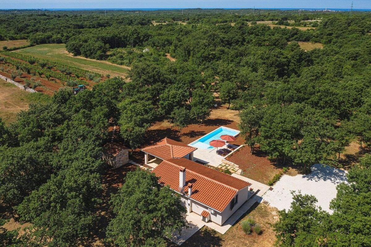 Villa Martinetinka Воднян Экстерьер фото