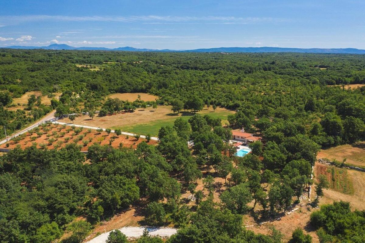 Villa Martinetinka Воднян Экстерьер фото
