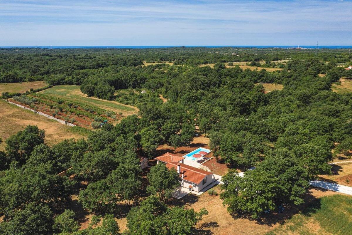 Villa Martinetinka Воднян Экстерьер фото