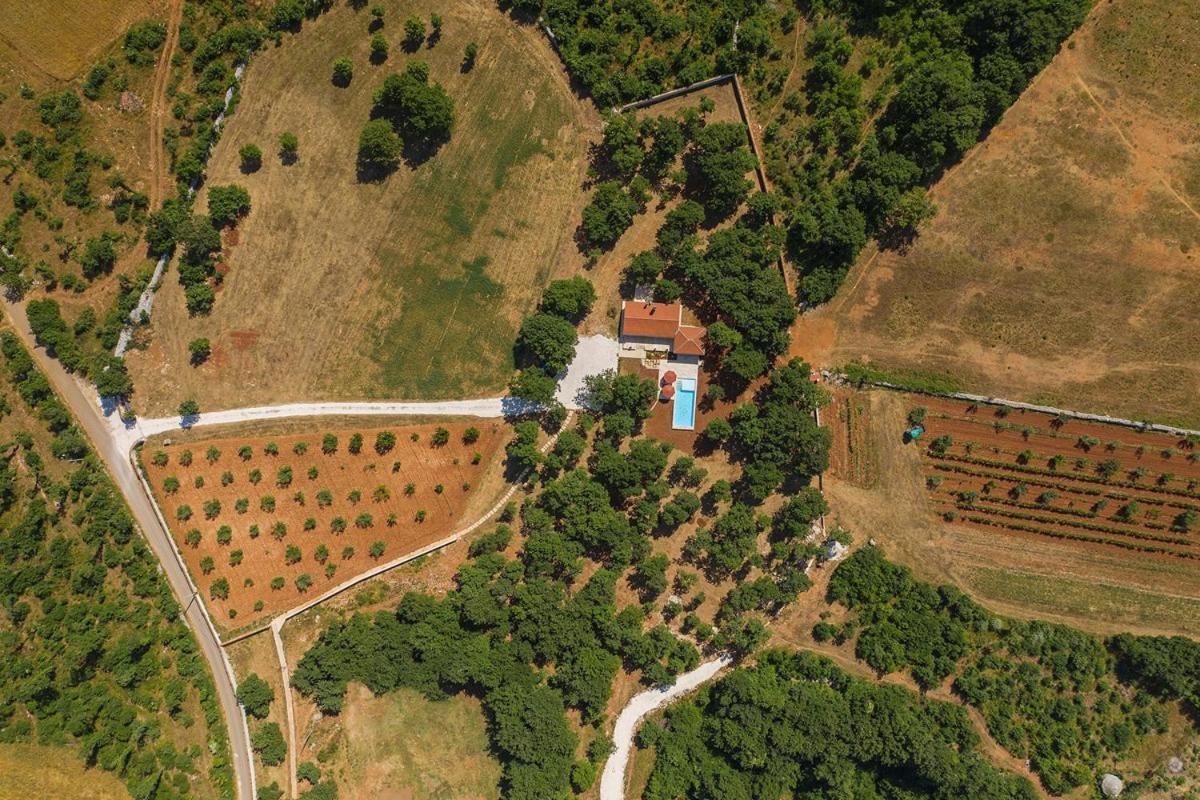 Villa Martinetinka Воднян Экстерьер фото