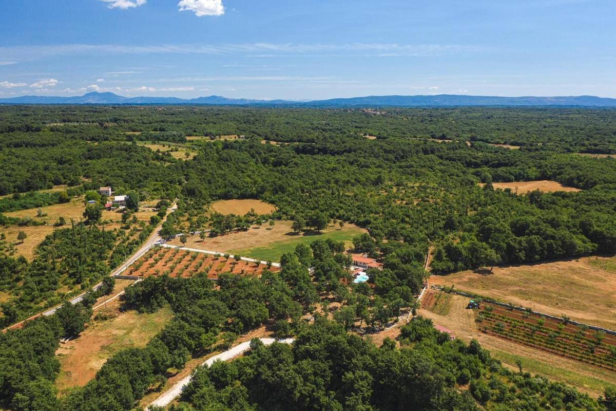 Villa Martinetinka Воднян Экстерьер фото